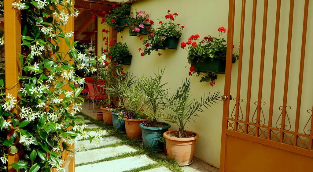 Kruja Hotel تيرانا المظهر الخارجي الصورة