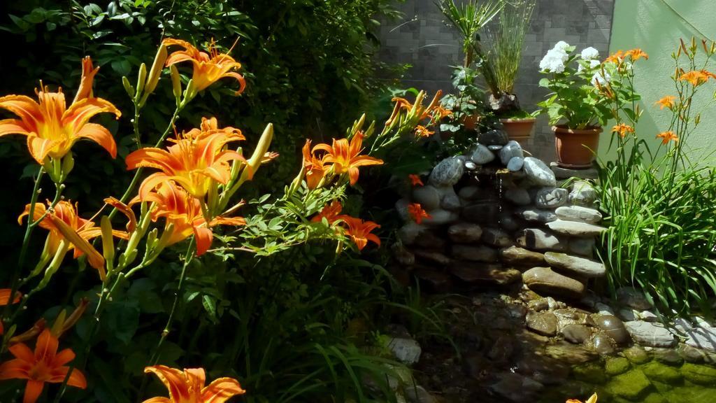 Kruja Hotel تيرانا المظهر الخارجي الصورة